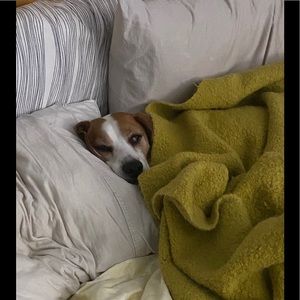 Meet your Posher, April